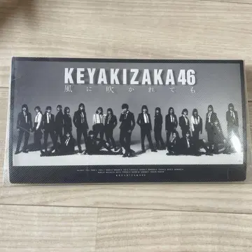 Keyakizaka46 바람에 날려도 폴라로이드 케이스