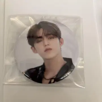SEVENTEEN 세부치 에스크 DREAM 팝업 캔뱃지
