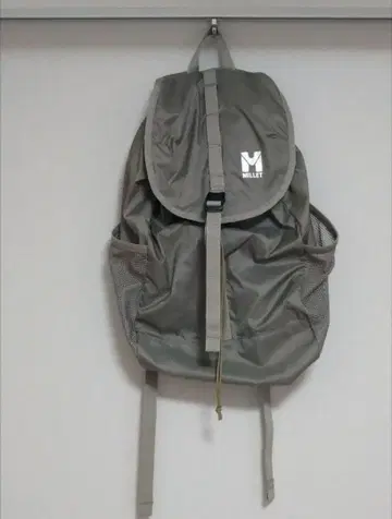 밀레 디피 20