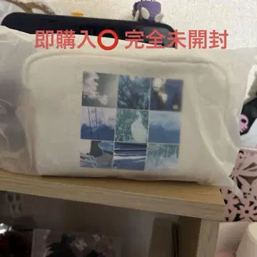 교모토 다이가의 관점과 출발점