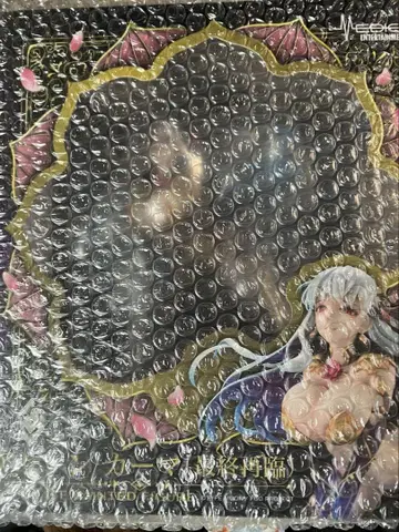 Fate/Grand Order 어쌔신/카르마 최종 재림 피규어 특전 포함