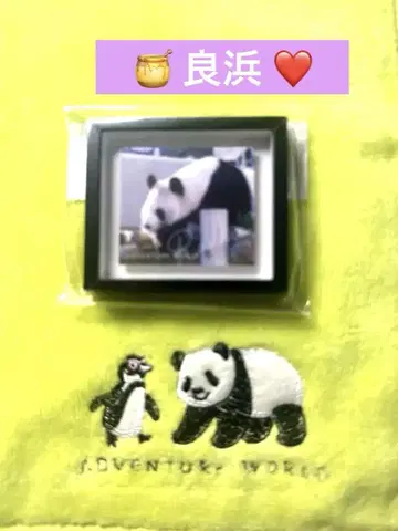 요시하마 프레임 마그넷