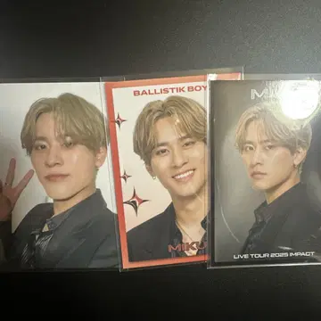 후카호리 미라이 IMPACT 포토 카드 시크레