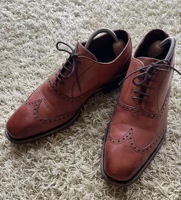 CHEANEY 치니 윙 칩 드레스 슈즈