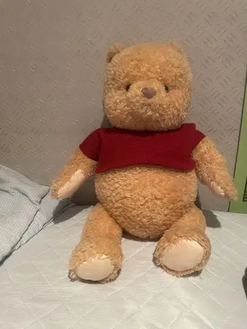 푸우와 어른이 된 나 푸우 봉제 인형