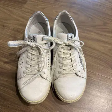 골프화 에코 EXTRA WIDTH 22.5