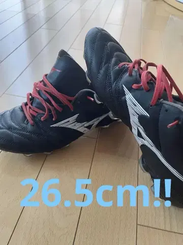 Mizuno Monarcida Neo 블랙/레드
