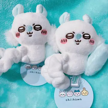 치이카와 모몽가 스크런치 세트