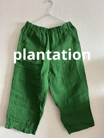 plantation 플랜테이션 와이드 팬츠 그린