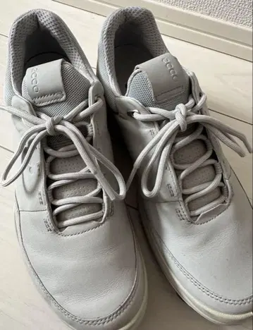 에코 골프화 그레이 최종 가격