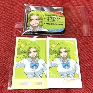 BLEACH 827 WORLD 인스턴트 사진풍 시트 캔디스