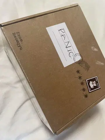 TXT 보규 panic