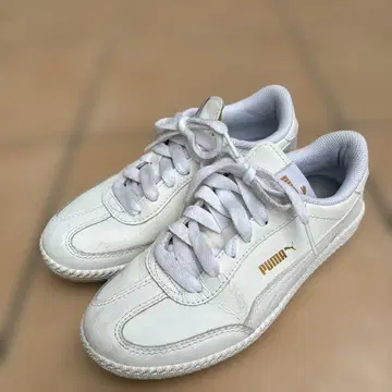 Puma 화이트 스니커즈 골드 로고