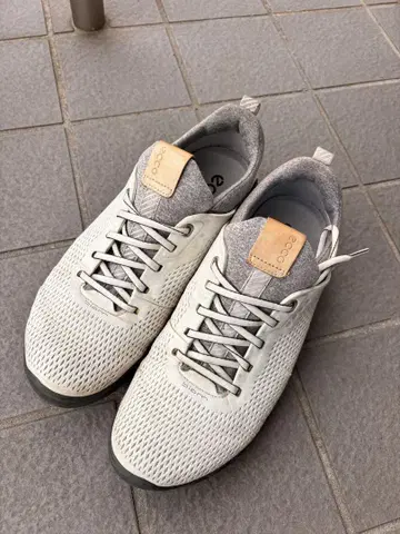 ECCO 골프화