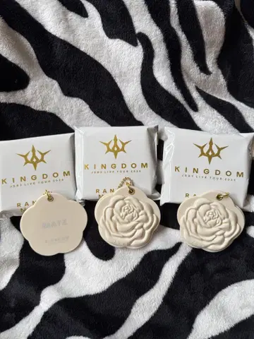 3대째 JSB MATE kingdom 로즈 슬라이드 거울