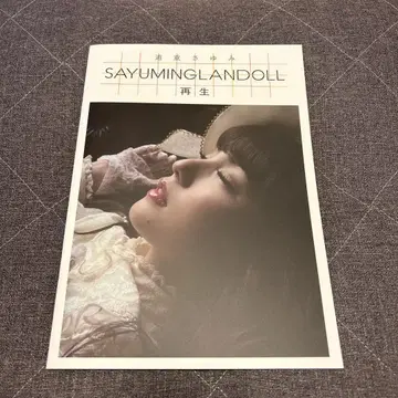미치즈케 사유미 사유민 랜드 인형 재생 팜플렛 굿즈 모닝구 무스메.