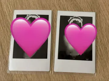 라부시쿠 타이요 폴라로이드 헤드레 에라바레
