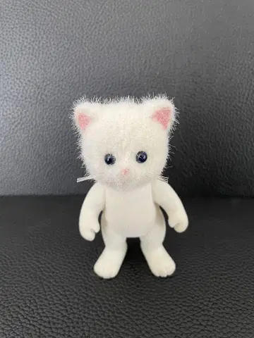 실바니안 패밀리 페르시아 고양이 파랑 눈 블루 아이 단종