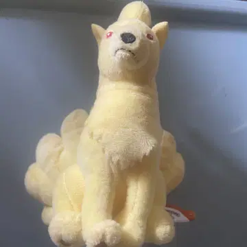 포켓몬 Pokemon fit 큐콘 포켓몬 센터 봉제 인형