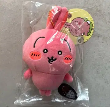 치이카와 (먼작귀) 정말 매워요! 마스코트 카레 토끼