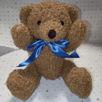 곰돌이 봉제 인형