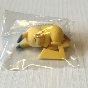 Pokemon Sleep 피규어 컬렉션 와카쿠사 혼토 피카츄