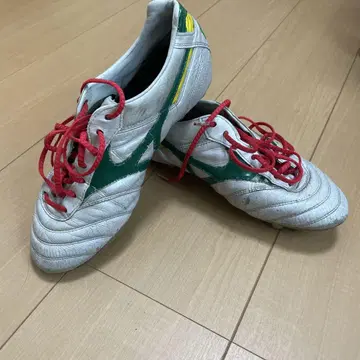 모레리아 브라질 컬러 24.5cm