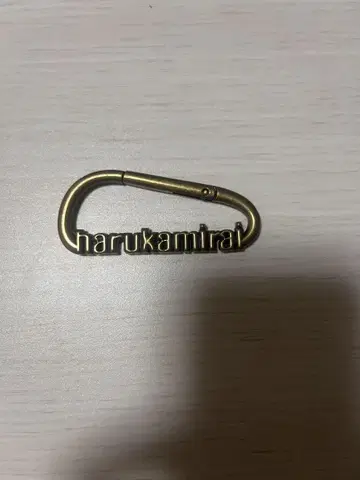 하루카미라이 카라비너