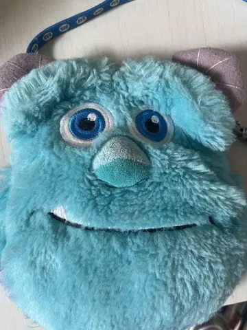 몬스터즈 잉크 샐리 패스 케이스