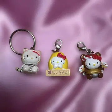 지역 키티 스트랩 3개 세트