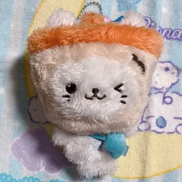 nct wish 유우시 버블냥