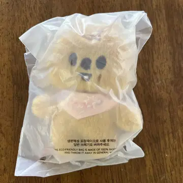 한국 펜미 공식 Stray kids HAN 보드카