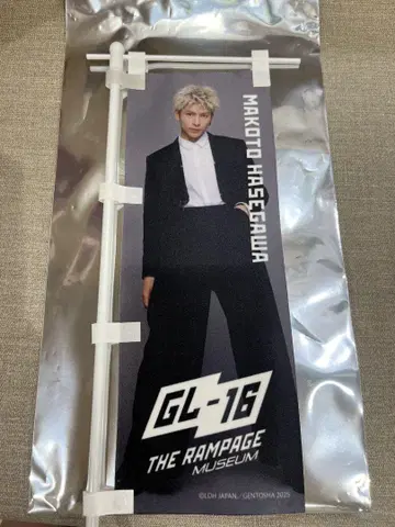 하세가와 신 노보리