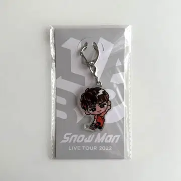 Snow Man 무카이 코지 Labo 아크링 키링 아크릴 키링