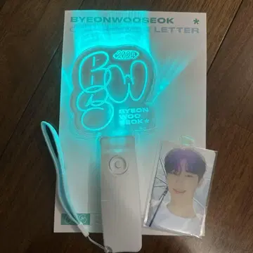 평우석 팬미팅 응원봉