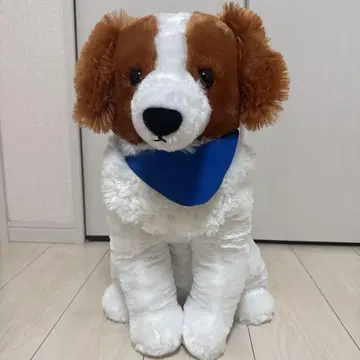 코이케르 혼디에 울트라 BIG