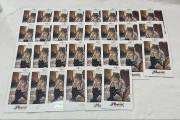 우라타누키 Flower 폴라로이드 카드