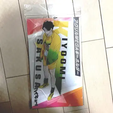 사쿠하 세이오 아크릴 MEGA 빅 키링