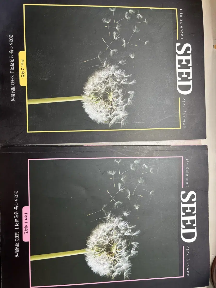 대성마이맥-2025 SEED 생명과학1 개념완성