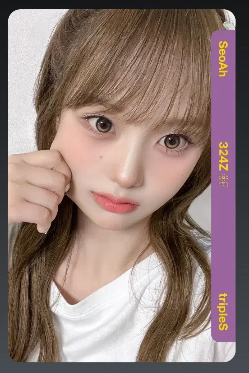 트리플에스 서아 대만 트레이딩 카페 오브젝트 aa324