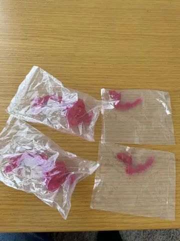 몬스터 헌터 스탠다드 모델 보너스 부품 세트