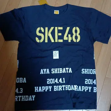 SKE48 티셔츠 AKB48 2013