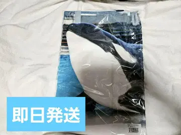 가모가와 씨월드 55번째 라비 실사 타월