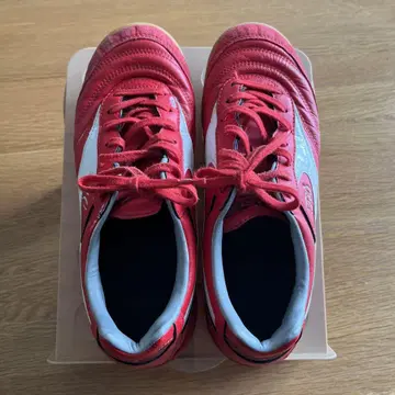 Mizuno 레드 모렐리아