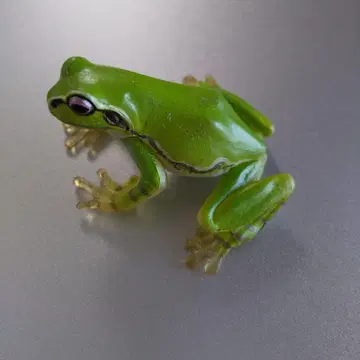 리얼 피규어 청개구리 카이요도