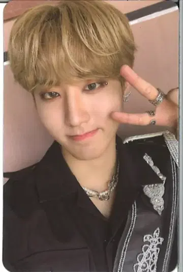 StrayKids 주얼 케이스 HAN NOEASY
