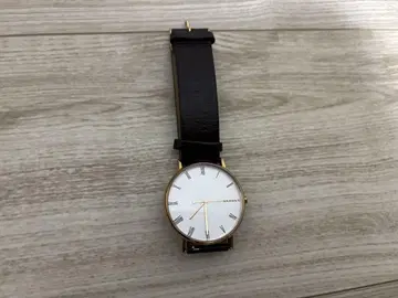 SKAGEN 손목시계