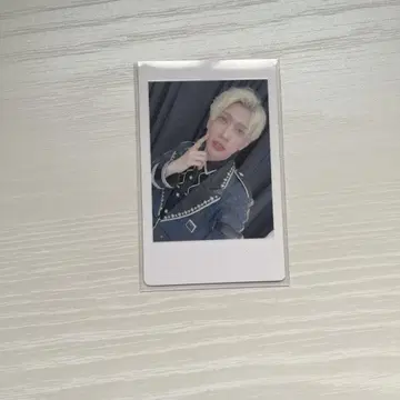 팬더 드래곤 하피카 요타