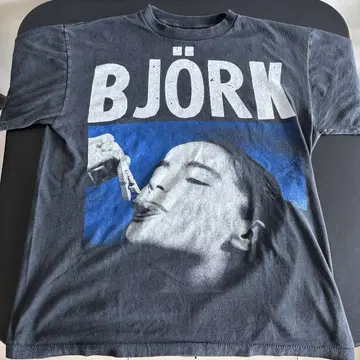 Bjork 비요크 USA제 페이드 티셔츠