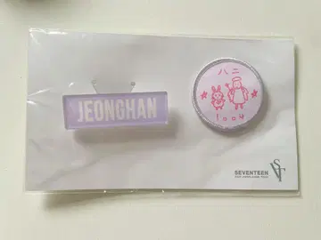 SEVENTEEN 세부치 정한 네임&와펜 배지 세트 2020